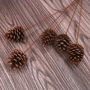 Detailed close-up of natural pine cones with brown wire stems on dark wood background