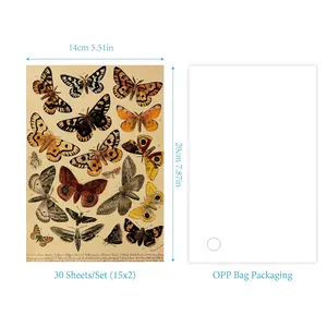 30 sheets vintage butterfly scrapbooking paper set with scientific insect illustrations