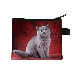 Cute British Shorthair cat pattern coin purse with black zipper and handy hanging loop