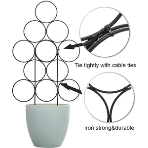 Durable black iron trellis for climbing plants with cable ties for secure outdoor support