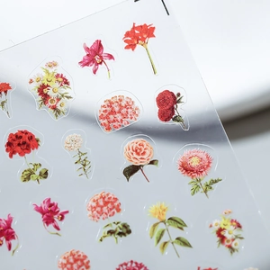 Florale nail art stickers met kleurrijke botanische droogbloemen en transparante basis