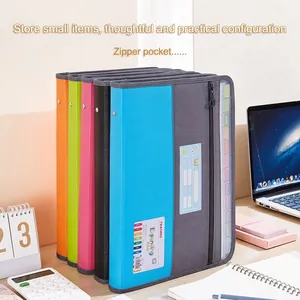 Cartelle a soffietto A4 multicolore a 13 tasche con scomparto laterale con cerniera