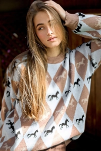 Close-up of knit texture with blue and beige argyle pattern and horse jacquard design