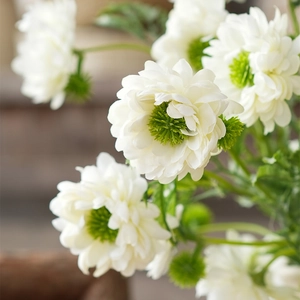 Close-up of artificial white daisies with green centers and realistic silk texture