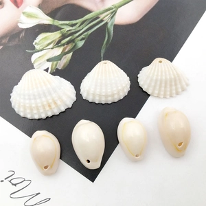 Natural white and beige seashells 12-16mm for jewelry making on floral background card