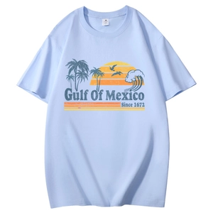 Detail of vintage Gulf of Mexico graphic print on light blue cotton crew neck T-shirt