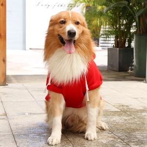 Outdoor view of red pet hoodie for medium large dogs with white adjustable drawstring