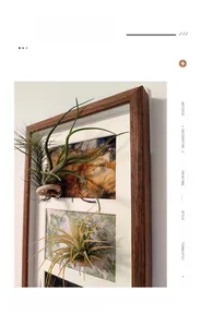 Detail of solid wood air plant frame showing premium grain texture and 3D leaf display