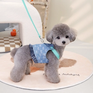 Detail of blue denim dog harness vest with bow and matching mint green leash on a dog