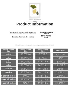 Size chart for double-sided glass plant specimen frames in various dimensions
