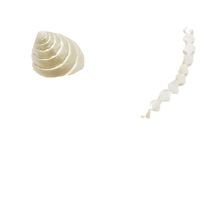 Natural white shell flower beads and conch shell charms for DIY jewelry handmade crafts