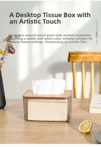 Detail of transparent tissue box with natural wood lid in a cozy sunlit living room