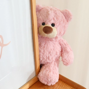 Gros plan d'un ours en peluche rose au pelage doux avec de jolis yeux noirs derrière un cadre