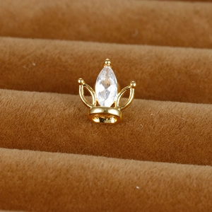 Détail de puce d'oreille couronne en acier inoxydable avec zircon marquise scintillant