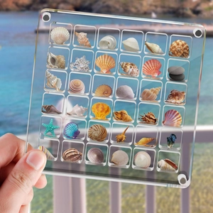 Clear Acrylic Seashell Display Box Magnetic Square Multi Grid Specimen Storage Organizer Travel Collection Souvenir