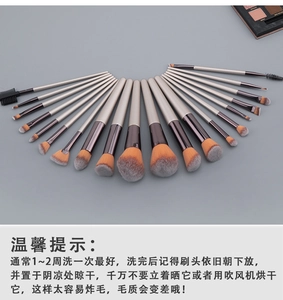 Detailed fan layout of 20 champagne makeup brushes with gradient fibers and matte handles