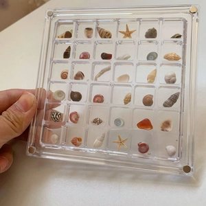 Acrylic display case with natural sea shell and starfish specimens in multi-grid box