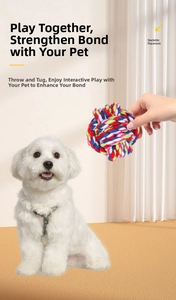 Close-up of a colorful cotton rope ball toy being held for a small white pet dog to play