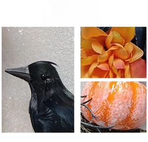 Détail macro d'un corbeau à plumes, d'une fleur en tissu et d'une mini citrouille dépolie