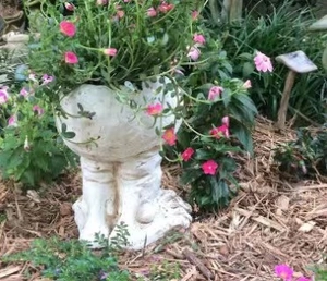 Close-up of funny mug face planter statue made of white stone with pink flowers in a garden
