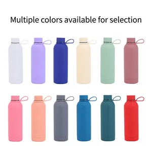 304 Stainless steel insulated sport water bottle in 12 matte finishes with carry handle