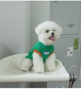 Detail of green knit sweater with GENTLE DOG patch on a small white bichon dog