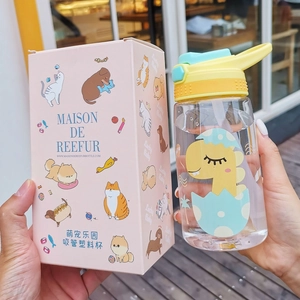Close-up of a kids plastic straw cup with cute dinosaur patterns and its gift box