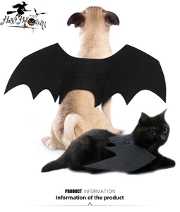 Detail of Halloween pet bat wings made of thick felt on a dog and cat for cosplay