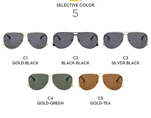 Detailed catalog of aviator sunglasses in 5 colors with metal frames and varied lenses
