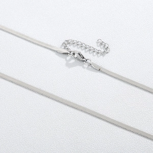 Detailed macro view of silver snake chain necklace with lobster clasp and extender