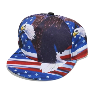 Detailweergave van snapback cap met realistische adelaarprint en US vlagpatroon