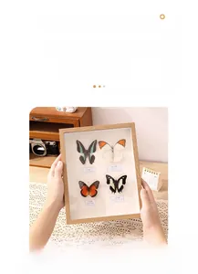Detail of wooden shadow box frame with real butterfly specimens and name labels
