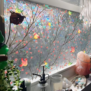 Rainbow window privacy film with birds and branches design in sunlight