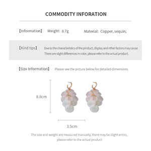 Detailed chart showing C-shaped tassel earrings dimensions 8.8x3.5cm and 8.7g weight