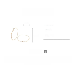 Detailed specs of gold copper hoop earrings with 4.5cm diameter and 2.3g weight