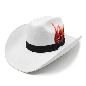White wool felt western cowboy hat with wide brim and decorative feather accent