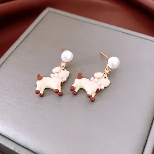 Boucles d'oreilles chiot avec perles et zircon sur boîte à bijoux de luxe