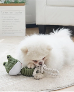 Close-up of a Pomeranian dog playing with a green frog-shaped TPR cotton rope chew toy