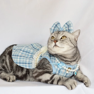 Detail of tweed dog dress with blue checks, pearls, lace and matching bow