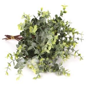 Detailed view of green eucalyptus leaves bundle with realistic white frost texture and brown stems