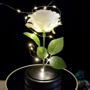 Close-up of artificial white rose with warm LED string lights in a clear glass dome