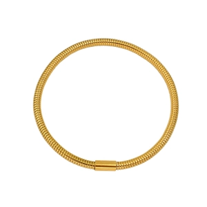 Detailed macro view of 18K gold plated tubogas snake bone bracelet with polished clasp