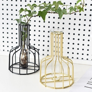 Vase hydroponique moderne style nordique avec cadres métalliques noir et or pour verre
