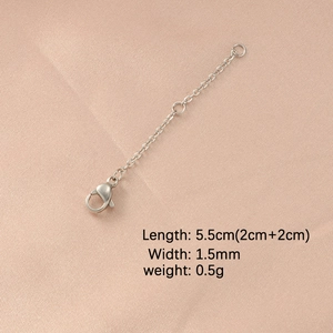 Detail of 5.5cm silver stainless steel extension chain with lobster clasp for jewelry DIY