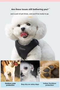 Chaussures de sport respirantes pour chiens, protection des pattes et imperméables