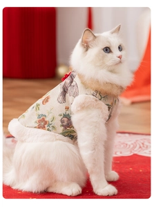 Close-up of Tang suit vest for cats with traditional embroidery and faux fur trim