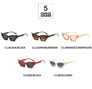 Cat eye sunglasses detail showing five color options and metal hinge accents on temple