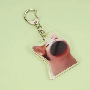 Acrylic happy banana cat meme keychain with silver metal clasp on soft green background