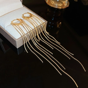 Golden heart-shaped long fringe earrings with metallic chains in a jewelry box