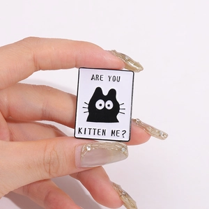 Spilla in smalto con gatto nero e scritta 'ARE YOU KITTEN ME?' in cornice rettangolare